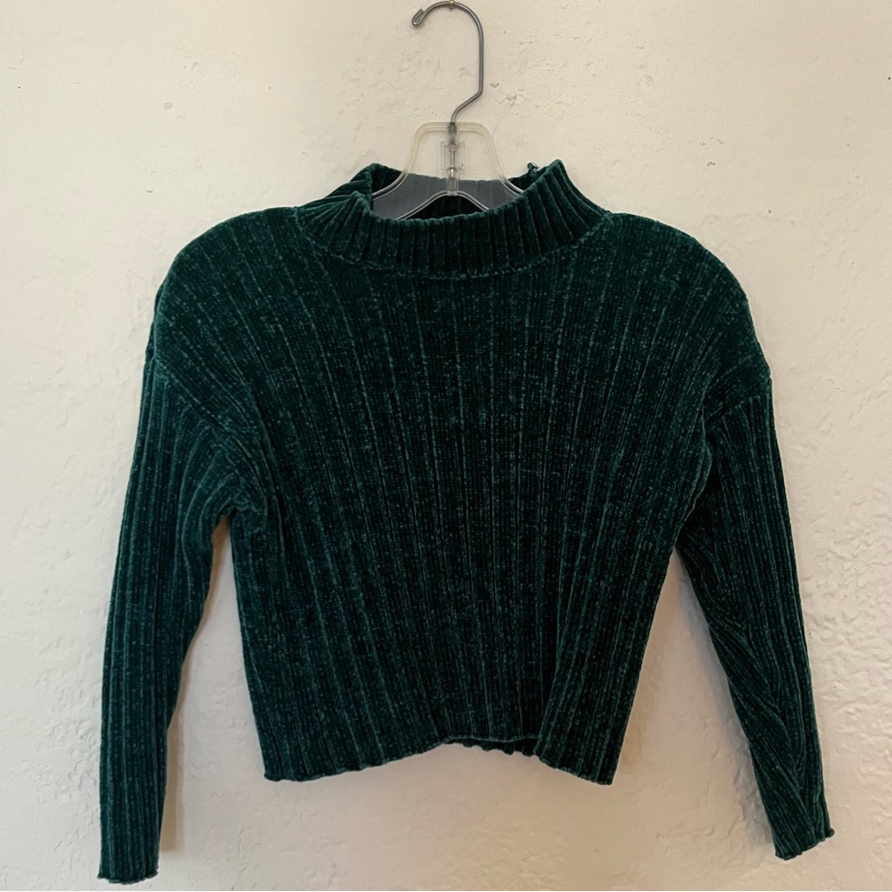 Velvet Cropped Turtle Neck
